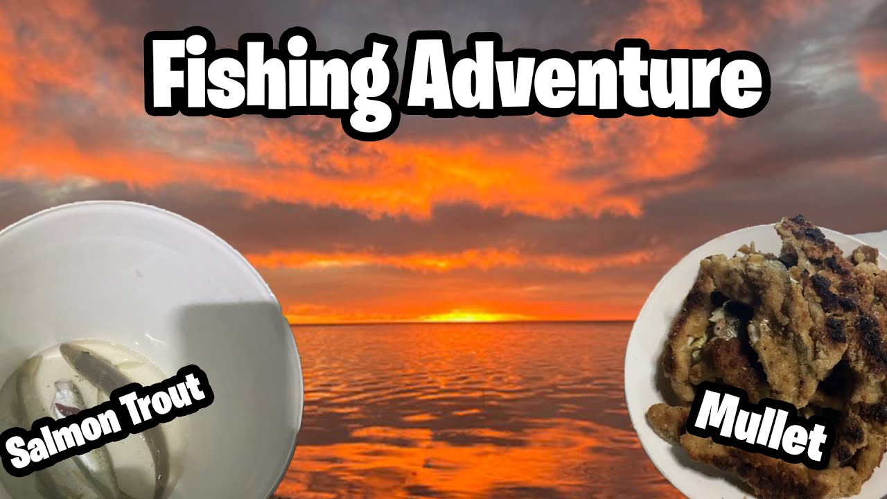 Ultimate Marina Fishing and Cook Adventure: Mastering the Art of Shore Fishing! Ultimate Marina Fishing and Cook Adventure: Mastering the Art of Shore Fishing!