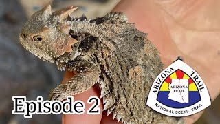 Arizona Trail 2023 Episode 2 Tucson-Kearny Arizona