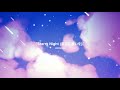 平井 大 / Starry Night (星空に願いを)(Lyric Video)