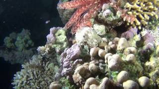 Dahab 2015 HD1080p