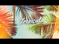 Faos  tropical soul   summer chill music 2023 