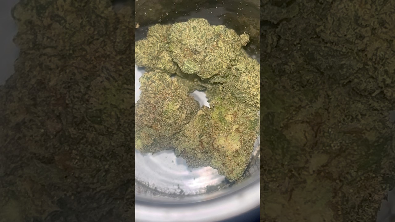 Best Flower So Far is..? Comment Below 