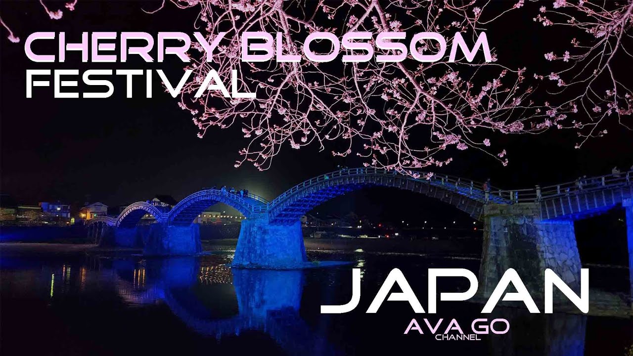 CHERRY BLOSSOM FESTIVAL SPRING 2024 KINTAI BRIDGE IWAKUNI JAPAN