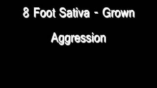 8 Foot Sativa - Grown Aggression