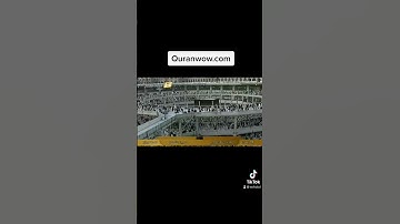 ما تيسر من سورة القصص || القارئ سعد الغامدي