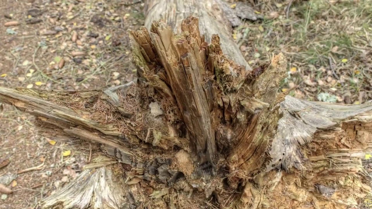 Earth: in the frame // Music by Greg E [nonsegmental]