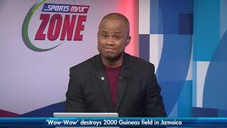 Above and Beyond DOMINANT in 1000 & Wow Wow DESTROYS 2000 Guineas in Jamaica | SportsMax Zone