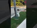 Ayo!!! 💀 #shorts #funny #funnyvideo #clips