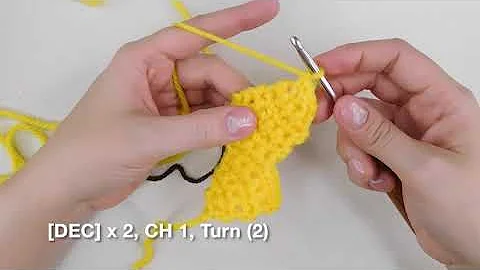 Learn to Make Adorable Reversible Crochet Pikachu & Raichu Plushie