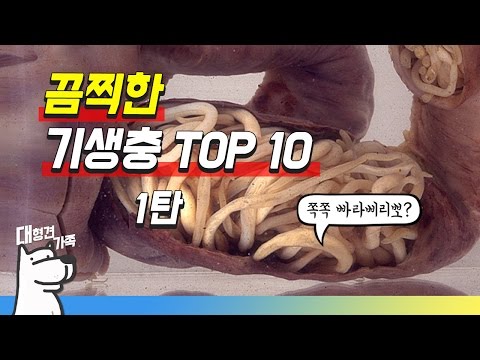 가장 끔찍한 강아지, 고양이 기생충 TOP 10 (1)ㅣ대형견가족