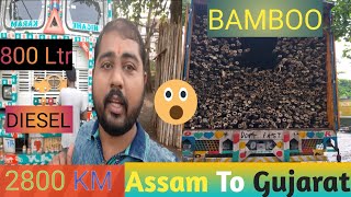 Bamboo | Assam Bamboo pole | Asaam to Gujarat | @VishalBhagwatiVlogs