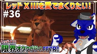 【 FF7 REBIRTH ※ネタバレ注意 】デートだ！誰と！？レッド13限界オタクのストーリー！…脳筋オオカミのﾘﾊﾞｰｽ調査その36【 #ケモノVtuber 】