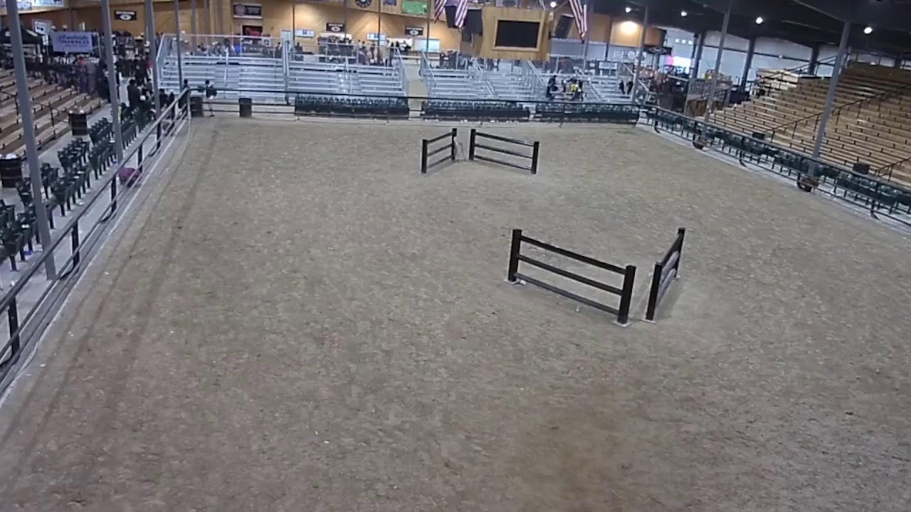topeka-livestock-auction-live-stream-youtube