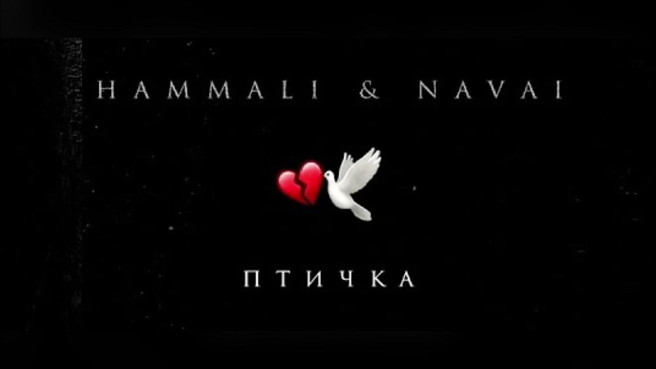 Птичка хамали текст. Птичка HAMMALI Navai. Птичка HAMMALI Navai обложка. HAMMALI Navai птичка Remix. Птичка аккорды HAMMALI.