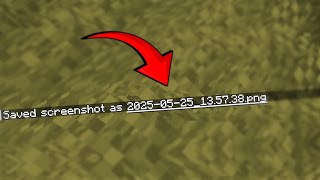 How to Take a Screenshot in Minecraft