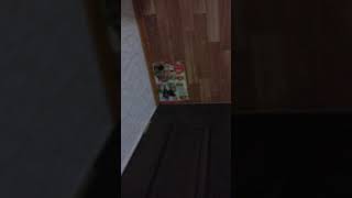 Котенок серун