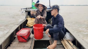 Trời Vừa Sáng Theo Ghe Cào Cá Mưu Sinh Trên Sông Vàm Nao Trúng Tôm Càng Thấy Mê | NĐMT#804