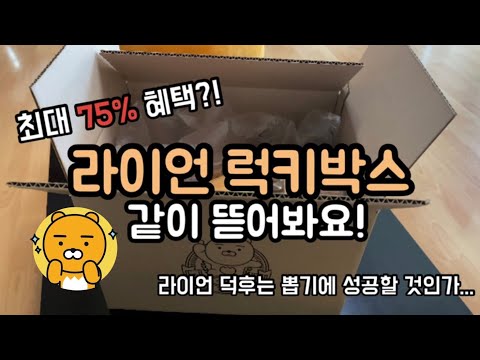 라이언 덕후의 라이언 랜덤박스 언박싱 | 럭키박스 | Random box, Lucky box [4K]