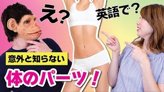 人差し指は英語で？意外と知らない体のパーツ☆〔#697〕