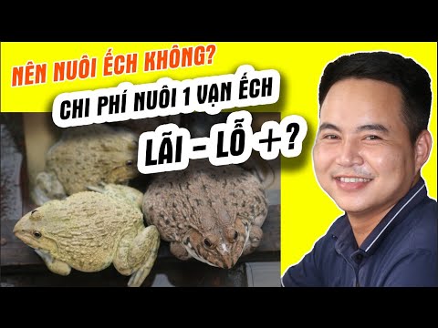 Video: Bạn có trồng ếch không?