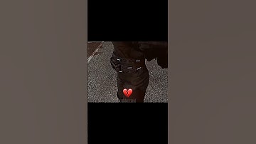 Skibidi❤️Camerawoman#skibiditoilet#fypシ#shorts