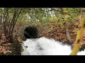 Cleaning the overflow grate feeding a massive 6foot culvert post 10 would be proud