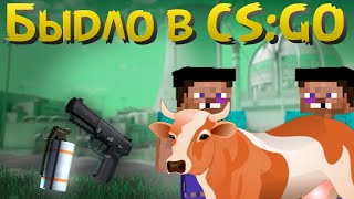 Быдло в кс го | Приколы в кс го