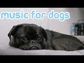 Music to Relax Your Dog! Help Your Dog Sleep and Stay Calm with this Music!