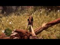 End of video