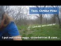 Wildlife Cam: CamPark T100 Trail Camera Video March 17-20, 2022