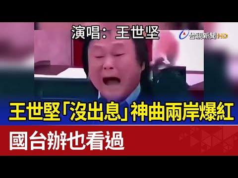 王世堅 沒出息 神曲兩岸爆紅 國台辦也看過