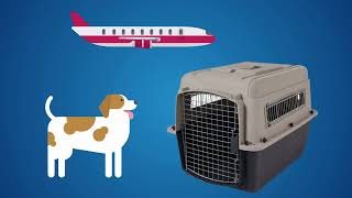 HOW TO SIZE YOUR PET'S TRAVEL CRATE