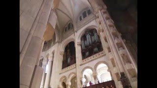 Cathedral of St. John the Divine Organ Demonstration