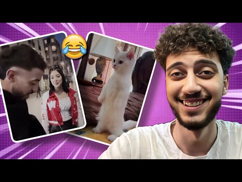 ميمز المتابعين خلت مخي يقف