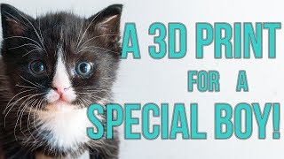 Special Kitten Gets a 3D Print for Megaesophagus