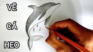 Vẽ CÁ HEO bằng bút chì cực chuẩn | How to draw a Dolphin