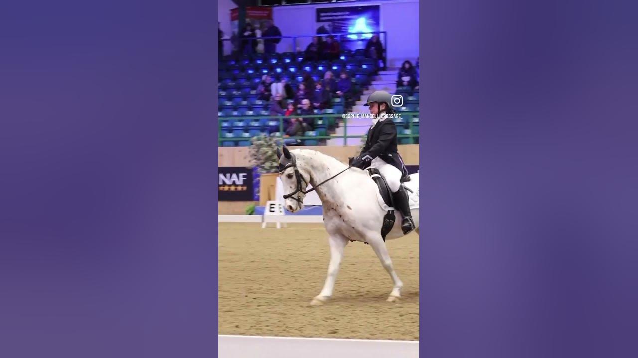 British dressage winter championships at Hartpury YouTube