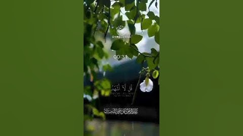 تلاوة خاشعة بصوت الاخ عبدالرحمن بن محمد المجيدي حفظه الله