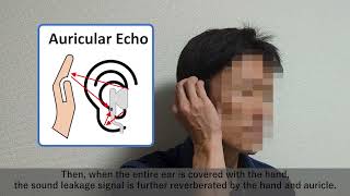 User Authentication Method for Hearables Using Sound Leakage Signals