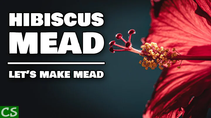 Hibiscus Mead - Let's Make Mead!