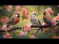 Music relieves stress, prevents anxiety and depression • Beautiful birds sing in the forest #57