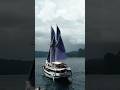 Discover Raja Ampat A Cinematic Sailing Adventure Through Pristine Paradise Travel Discover Raja Ampat A Cinematic Sailing Adventure Through Pristine Paradise Travel