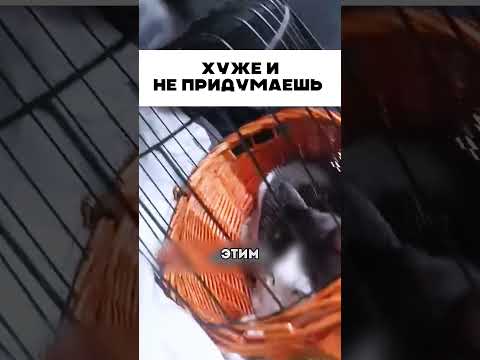 Хуже и не придумаешь 🤣