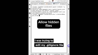 Show hidden files in SageMaker Studio Notebooks, Jupyter Notebooks and JupyterLab #aws #python screenshot 5