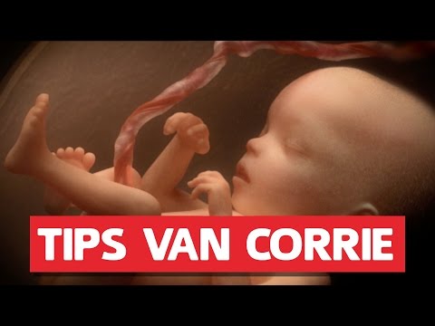 Wat gebeurt er als je zwanger bent? | De Dokter Corrie Show