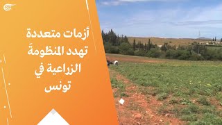 أزمات متعددة تهدد المنظومة الزراعية في تونس