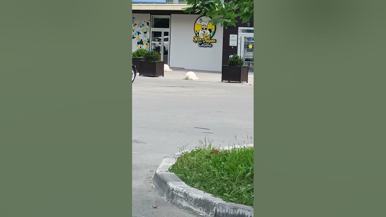 Жан Плов Лагман🤣🤣 - YouTube