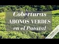 Abono verde orgánico y coberturas|Agricultura orgánica|AGRhumus