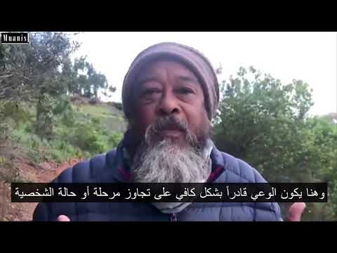 الحياة المتجاوزة للعقل موجي 