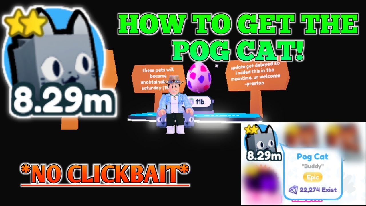 How to get POG CAT in Pet Simulator X! Roblox Pet Simulator X YouTube